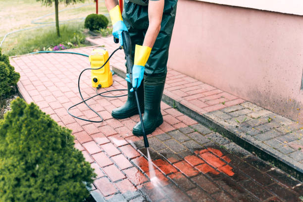 Professional Pressure Washing Services in Holiday Shores, IL