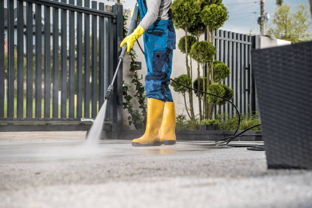 Best Fence Cleaning  in Holiday Shores, IL