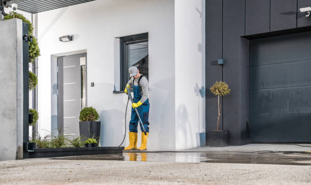 Best Paint Preparation  in Holiday Shores, IL